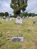 Image for Mary Elizabeth Kirkpatrick Morison ~ Morrison Chapel Cemetery ~ Sullivan County, TN - USA