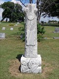 Image for William M. Patman - Good Hope Cemetery - Parvin, TX