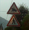 Image for Horse rider crossing, Rougiville, France