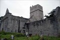 Image for Muckross Abbey - Killarney Ireland