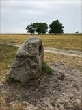 Image for Humming Stone - Møn, Danmark