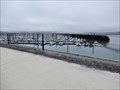 Image for le port des Minimes - la Rochelle, France