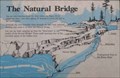 Image for The Natural Bridge