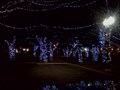 Image for Falls Park Christmas Display - Sioux Falls, SD