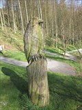 Image for Kestrel, Bwlch Nant yr Arian, Ponterwyd, Ceredigion, Wales, UK