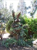 Image for Quail Botanical Garden Rabbit