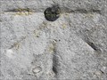 Image for Cut Bench Mark & Bolt - The Terrace, Gravesend, Kent, UK