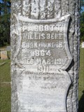 Image for Parrott Willis Bell - Bethlehem Cemetery - Greenwood, SC