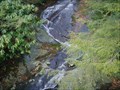 Image for Roadside Waterfall, Blue Ridge Parkway (NC)
