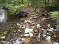 Image for CONFLUENCE - River Meavy - River Plym