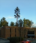 Image for Pine Tree Cell Phone Tower, Cary, North Carolina