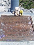 Image for Fremont Peak Memorial