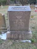 Image for Annies Maudie Payne - Wheatland Cemetery - Dallas, TX