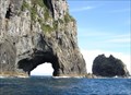 Image for Hole In The Rock.  Bay of Islands.  New Zealand.
