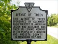Image for Avenue of Trees