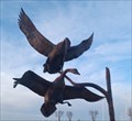 Image for Birds In Flight - Bucklin, KS