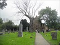 Image for Beauly Priory Cemetery - Beauly, Scotland