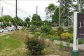 Image for The Mayors Monarch Butterfly Garden - Douglasville, GA