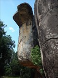 Image for Cobra Hood Cave - Sigiriya, Sri Lanka