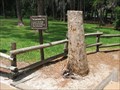 Image for The Lawnmower Tree - Disney World, FL
