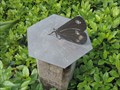 Image for Horizontal (Butterfly) Sundial - Horniman Gardens, London Road, Forest Hill, London, UK