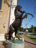 Image for A Horse With No Name  -  Mineola, NY
