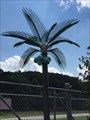 Image for Cave Run Bingo Electric Palm Trees - Farmers, KY, US