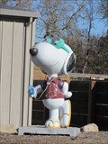 Image for Music Snoopy - Santa Rosa, CA