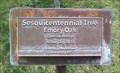Image for City of Camp Verde Sesquicentennial Tree - Camp Verde AZ