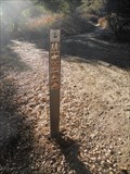 Image for Pacific Crest Trail - Campo, CA
