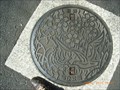 Image for Metropolitan Park Manhole in Hibiya - Tokyo, JAPAN