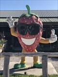 Image for Strawberry Man - Alva, Florida, USA