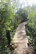Image for Boardwalks, East Head Reservoir Trail - Miles Standish State Forest - Carver, MA