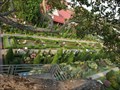 Image for Nong Nooch Botanical Garden, Large Fountain—Pattaya, Thailand.