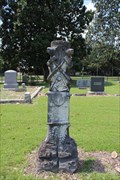Image for George McGee -- Rose Hill Cemetery, Hope AR