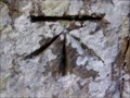 Image for Cut Bench Mark on St John the Baptist Church, Ripe, Sussex.