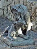 Image for Lion and Lioness - San Antonio, TX