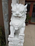 Image for Shop Lions—Da Nang City, Vietnam