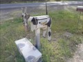 Image for Cow Mailbox  -  Bells Bridge, Queensland, Australia