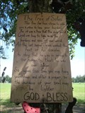 Image for Tree Of Soles - Ossun, Louisiana.