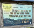 Image for Snakes of Eastern North Carolina, Soundside Park - Surf City, North Carolina