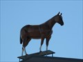 Image for Welsh's Horse on Top - Edmonton, Alberta