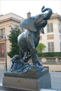 Image for Jeune éléphant pris au piége - Paris, France