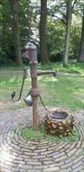 Image for waterpomp - Orvelte - NL