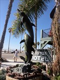 Image for Ala Mar Dolphins  -  Santa Barbara, CA