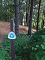 Image for North Country Trail - Gun Lake Road Access Point