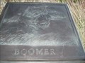 Image for Boomer - Dillingham Garden - Enid, OK