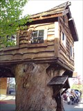 Image for Woodburn Company Stores Treehouse