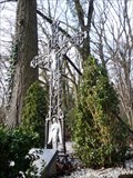 Image for Memorial cross Wagelerbosch