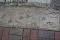 Image for Dog footprints in Goa, India